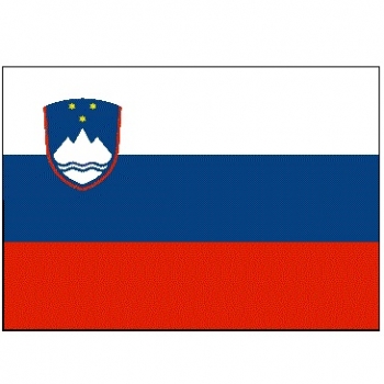 BANDIERA SLOVENIA