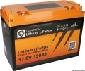 Batteria litio 100Ah con BMS e Bluetooth 