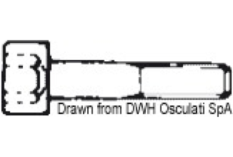 Brug. cilindrica 8X60 AISI 304 BRUG8X60