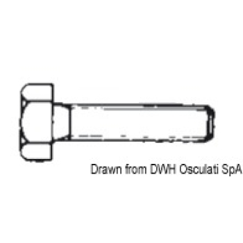 Bulloni 12x80 AISI 316 316.933/12X80