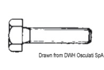 Bulloni 6x20 AISI 316 316.933/6X20