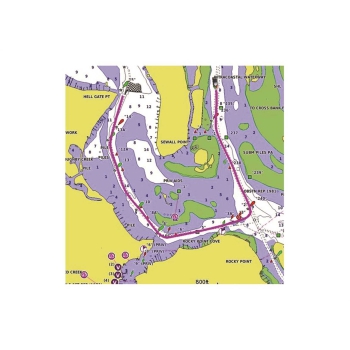 Cartografia Garmin BlueChart G3 Regular Area