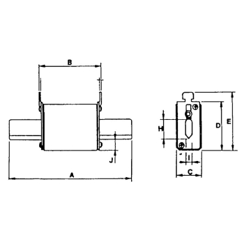 Fusibile 100 amp.