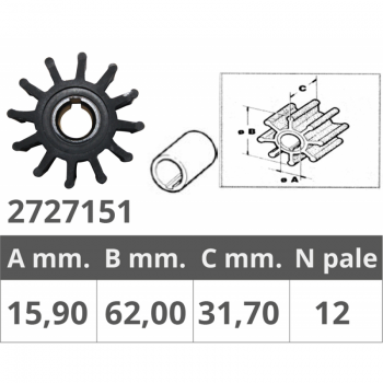 GIRANTE SHERWOOD 9959