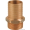 Portagomma maschio in bronzo 3/8" x 10 