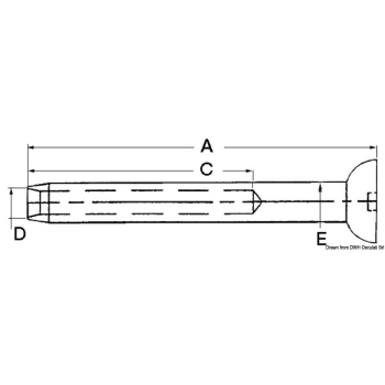 Terminale inox, testa Ø 5 mm 