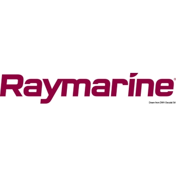 Trasduttore Raymarine E26009 