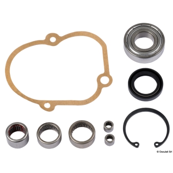 V700 BEARING / SEAL KIT 